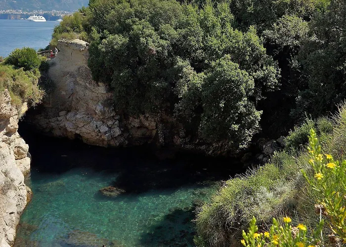 Blurooms Gasthuis 4*