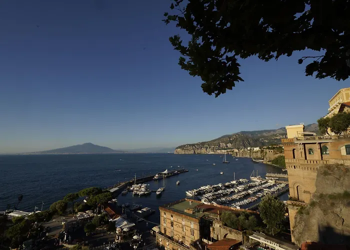 Gasthuis Blurooms 4*